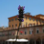 A Casa Di Lola アスコリ・ピチェーノ