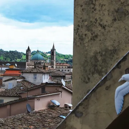 A Casa Di Lola Ascoli Piceno
