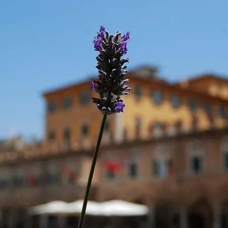 A Casa Di Lola Ascoli Piceno