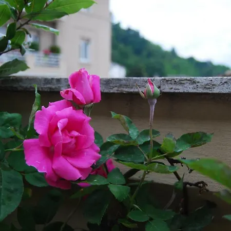 A Casa Di Lola Ascoli Piceno